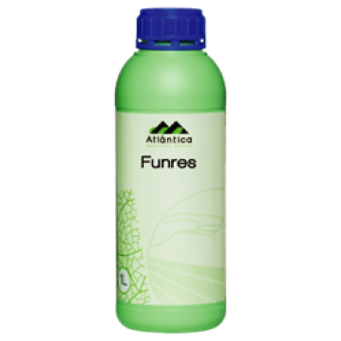 Mimosa tenuiflora extract 60% w/w, Citrus Seed extract 20% w/w