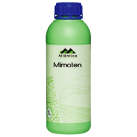 Mimosa tenuiflora extract 80% w/w