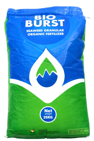 Seaweed Granular Organic Fertilizer
