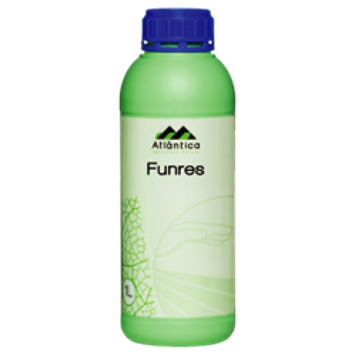 Mimosa tenuiflora extract 60% w/w, Citrus Seed extract 20% w/w
