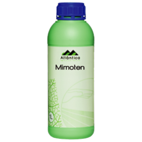 Mimosa tenuiflora extract 80% w/w
