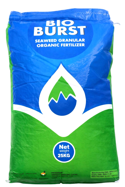 Seaweed Granular Organic Fertilizer
