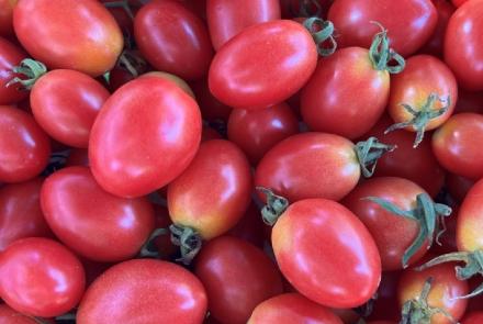 Pink Plum F1